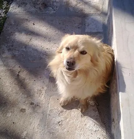 Nocleg ze śniadaniem Agli Antichi Trulli