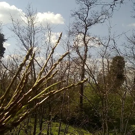 Nocleg ze śniadaniem Agli Antichi Trulli