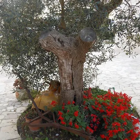 Agli Antichi Trulli Nocleg ze śniadaniem 4*