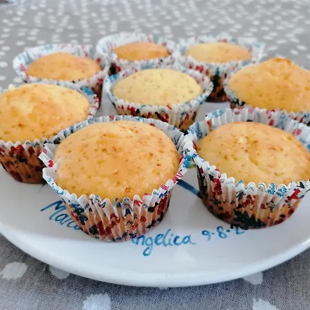 Agli Antichi Trulli In Masseria Bed & Breakfast