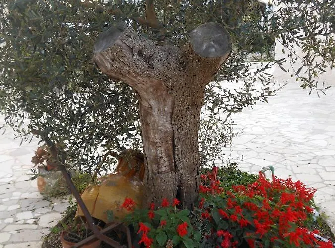 Agli Antichi Trulli Nocleg ze śniadaniem 4*